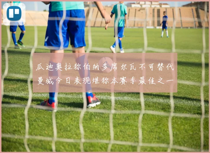 瓜迪奥拉称伯纳多席尔瓦不可替代曼城今日表现堪称本赛季最佳之一