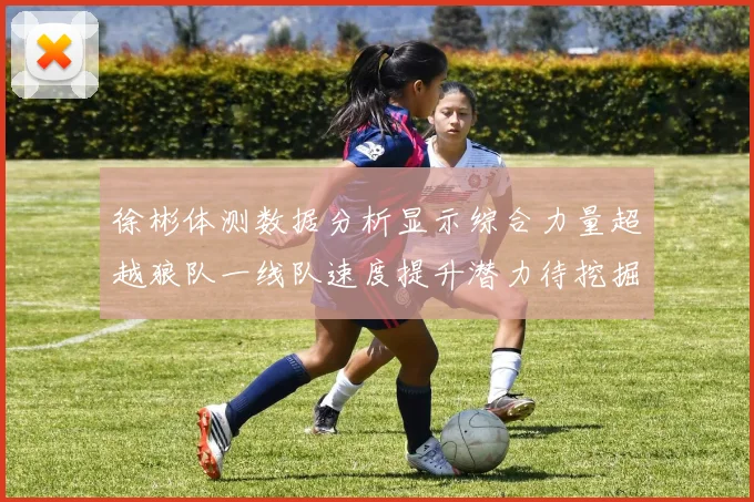 徐彬体测数据分析显示综合力量超越狼队一线队速度提升潜力待挖掘